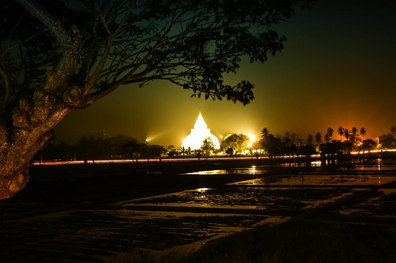 Oak Ray Wild Yala Otel Tissamaharama Dış mekan fotoğraf